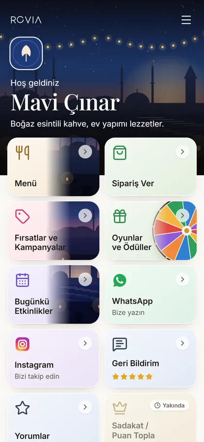 Mavi Çınar — ROVIA Space